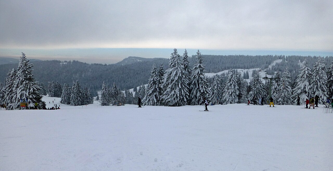 黑森林 Feldberg 的雪道上，滑雪者穿行于白雪覆盖的冷杉之间